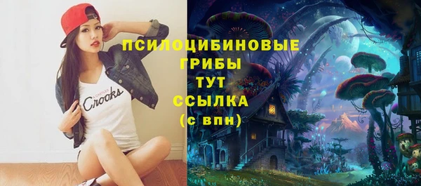 a pvp Армянск