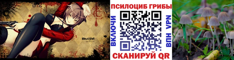 наркошоп Артёмовский Галлюциногенные грибы Cubensis
